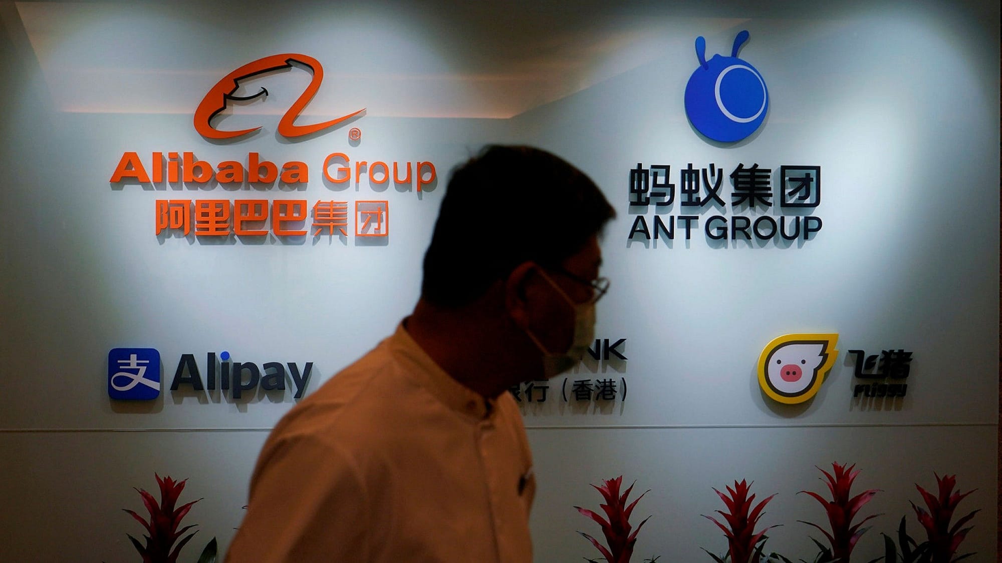 ant group ipo was suspended